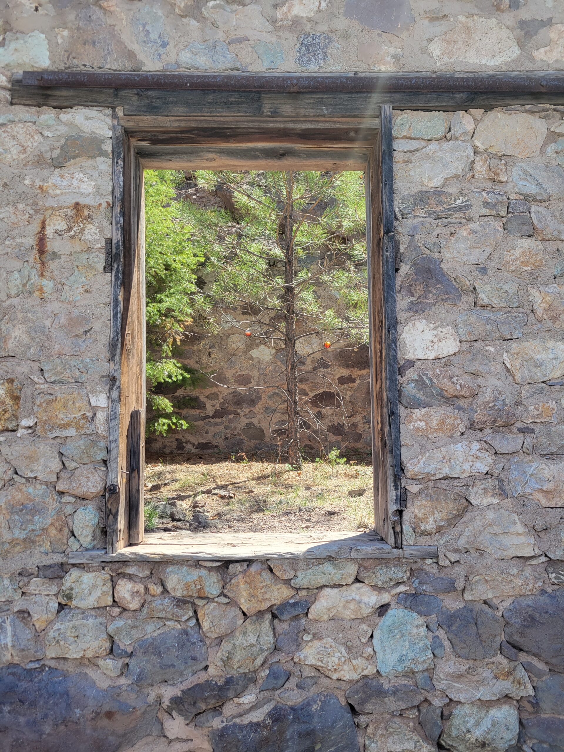 "Christmas tree" outside Mogollon, NM