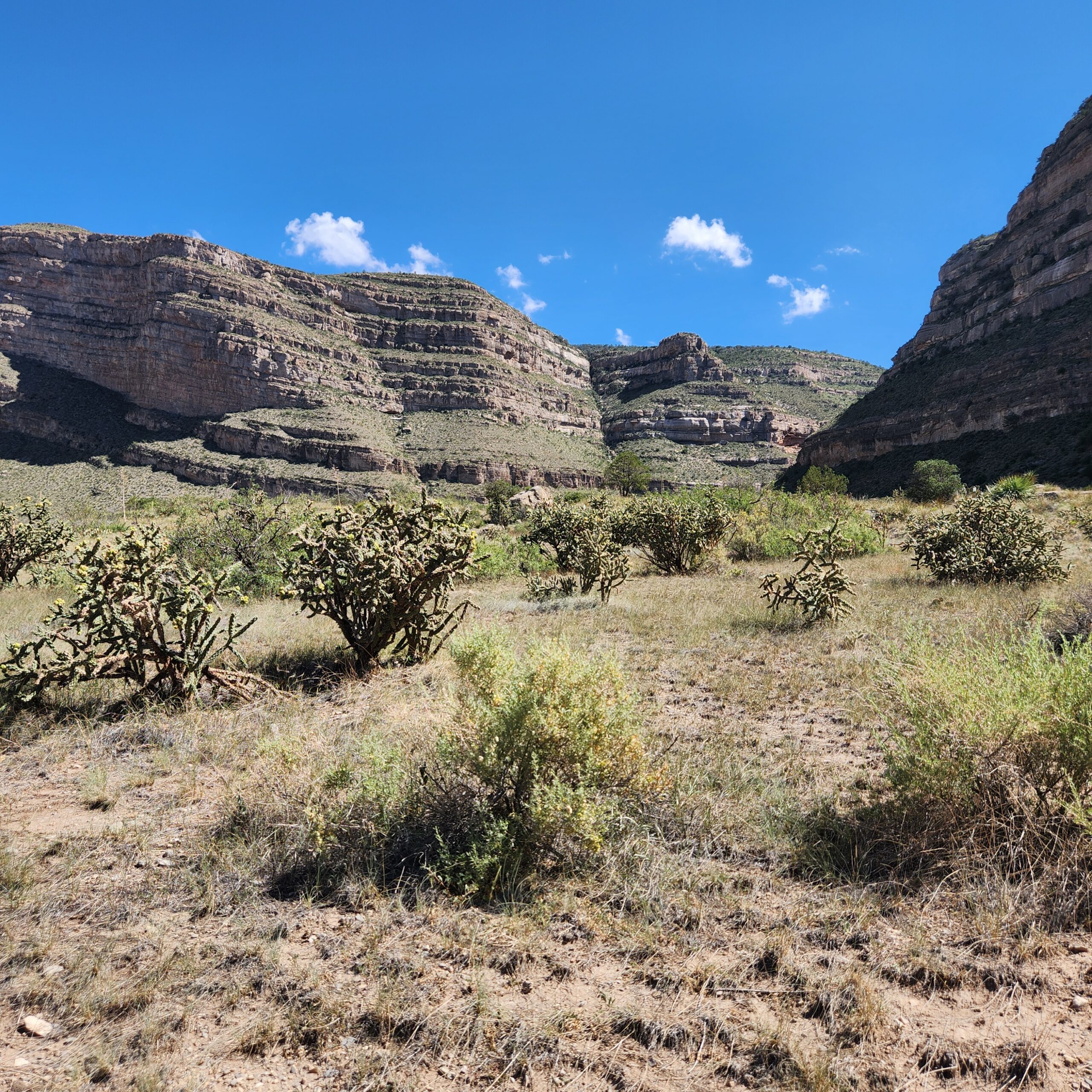 Dog Canyon Trail: Partial Hike