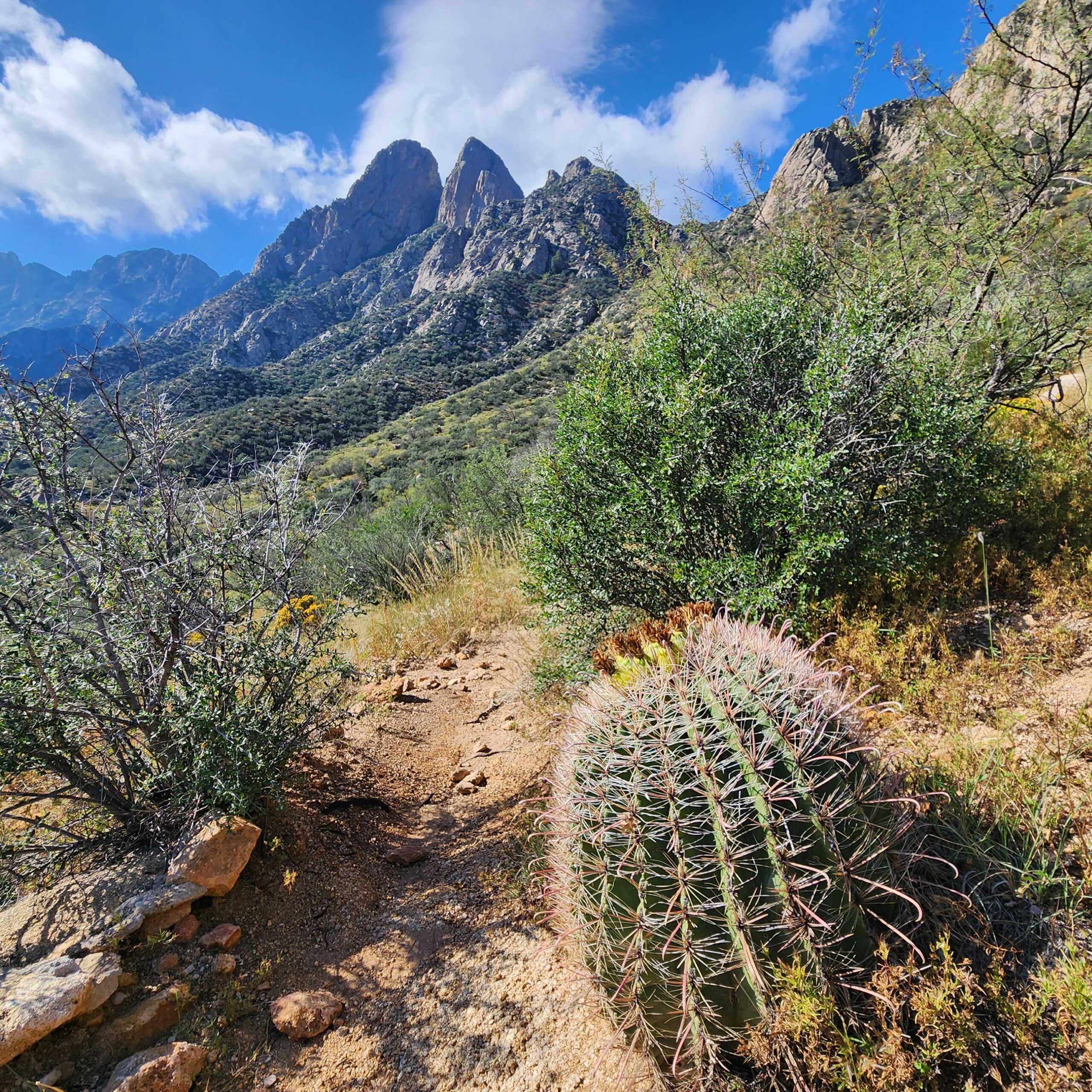 Baylor Pass (from the Aguirre Spring Side)